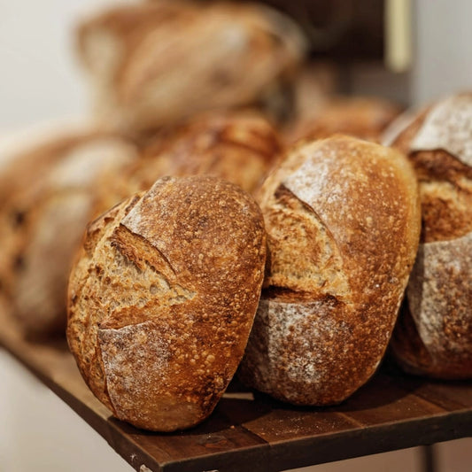 How Sourdough Helped Heal My Gut (And Why I Started Bella Sourdough)