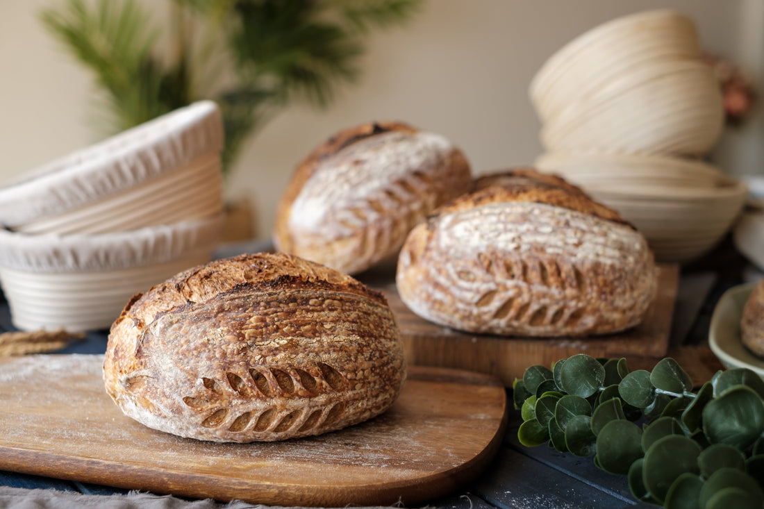 Quick Update from Bella Sourdough