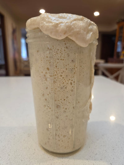 100% hydration sourdough starter